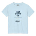 Chambray, front view