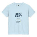 Chambray, front view